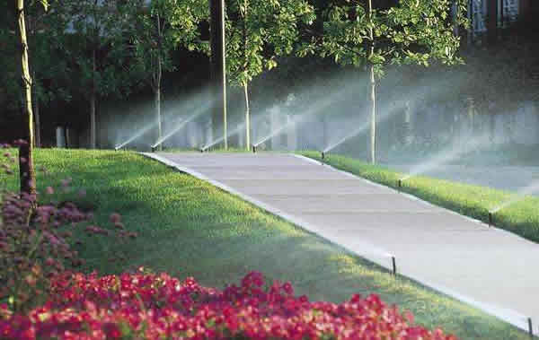 ���̰���